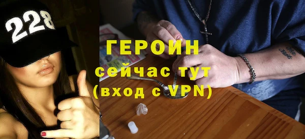 гидра Инта