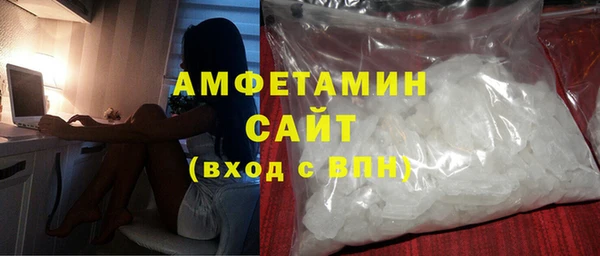 соль ск Инсар