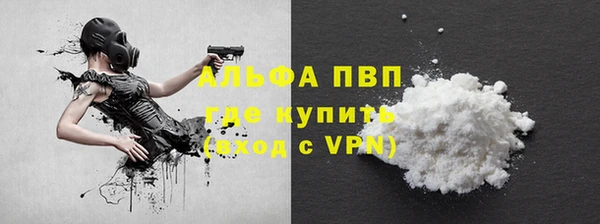 соль ск Инсар