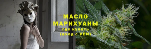 гидра Инта