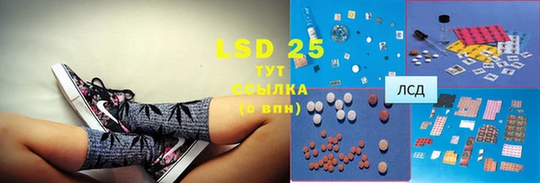 гидра Инта