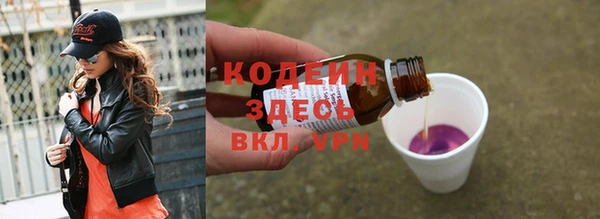 гидра Инта