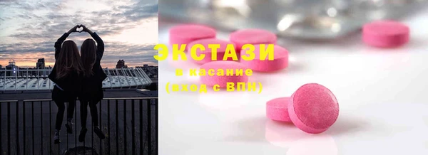 соль ск Инсар