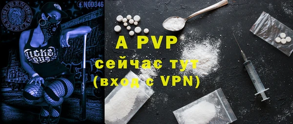 соль ск Инсар