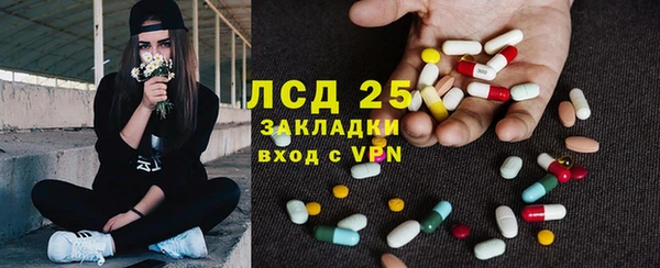 гидра Инта