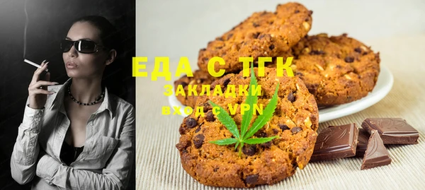 соль ск Инсар