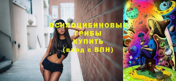 гидра Инта