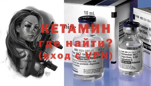 гидра Инта