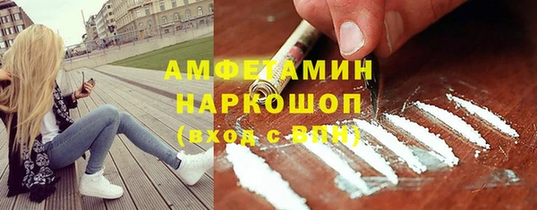 гидра Инта