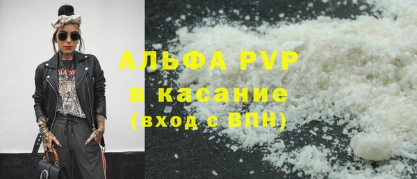 соль ск Инсар