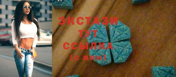 гидра Инта