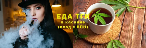 гидра Инта