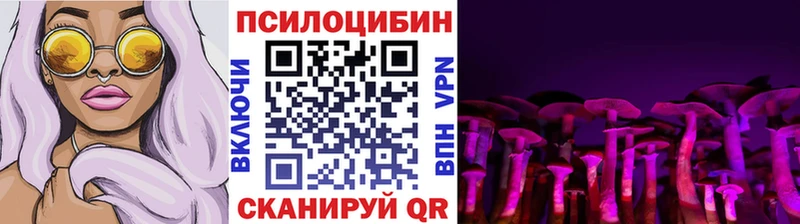Купить где  Канск  Галлюциногенные грибы GOLDEN TEACHER 